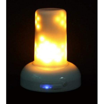 Digital Flame Simulation