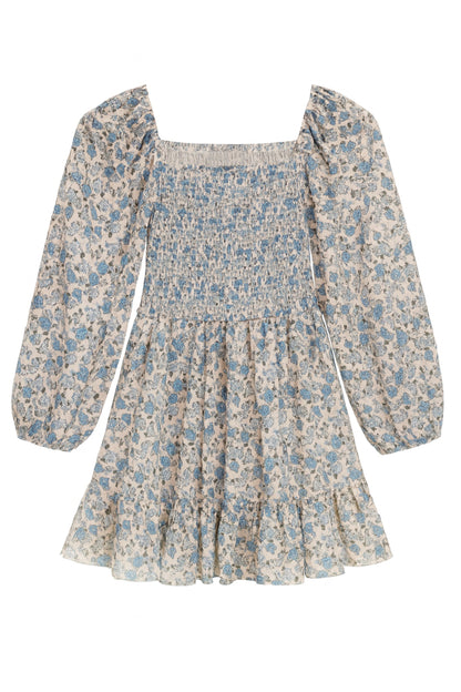 TWEEN MOLLY PRINTED SHEER DRESS - FINAL SALE